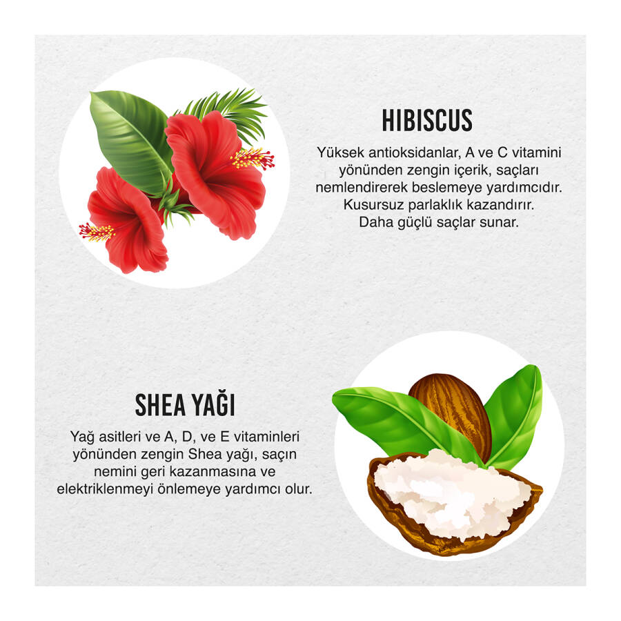 Hibiscus & Shea Butter Hair Treatment Mousse - 5